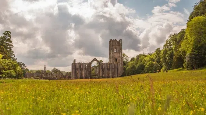 Wildflowers on east green at fountains abbey